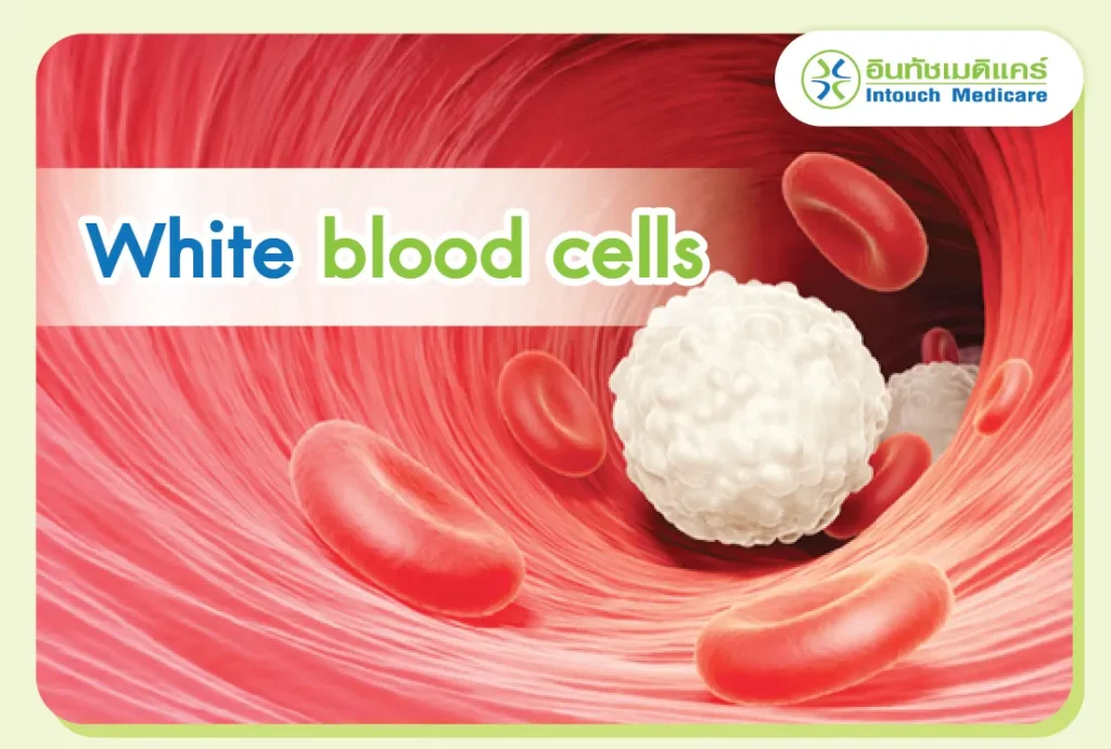 White Blood Cells
