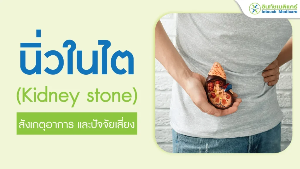 นิ่วในไต สังเกตุอาการ และปัจจัยเสี่ยง