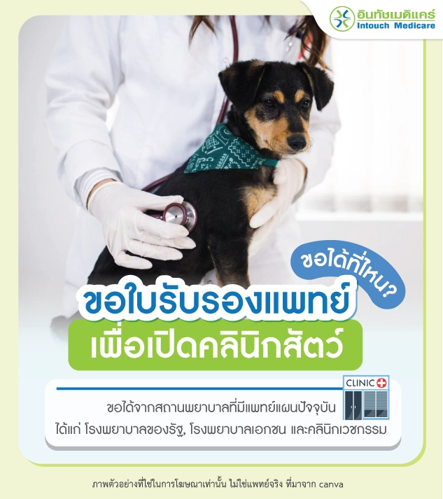 ขอใบรับรองแพทย์เปิดคลินิกสัตว์ได้ที่ไหน