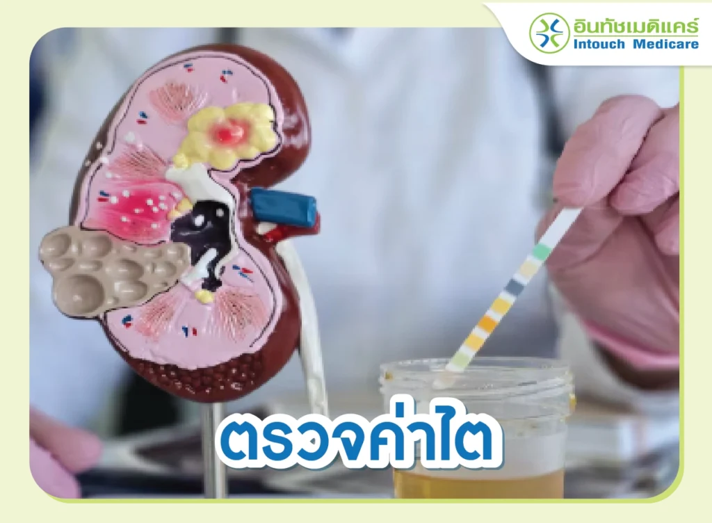 ตรวจค่าไต เพื่อป้องกันไตเสื่อมได้