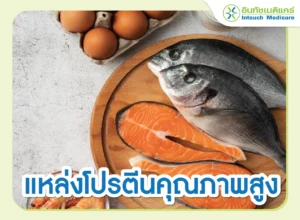 อาหารแหล่งโปรตีนสูง ซ่อมแซมไต