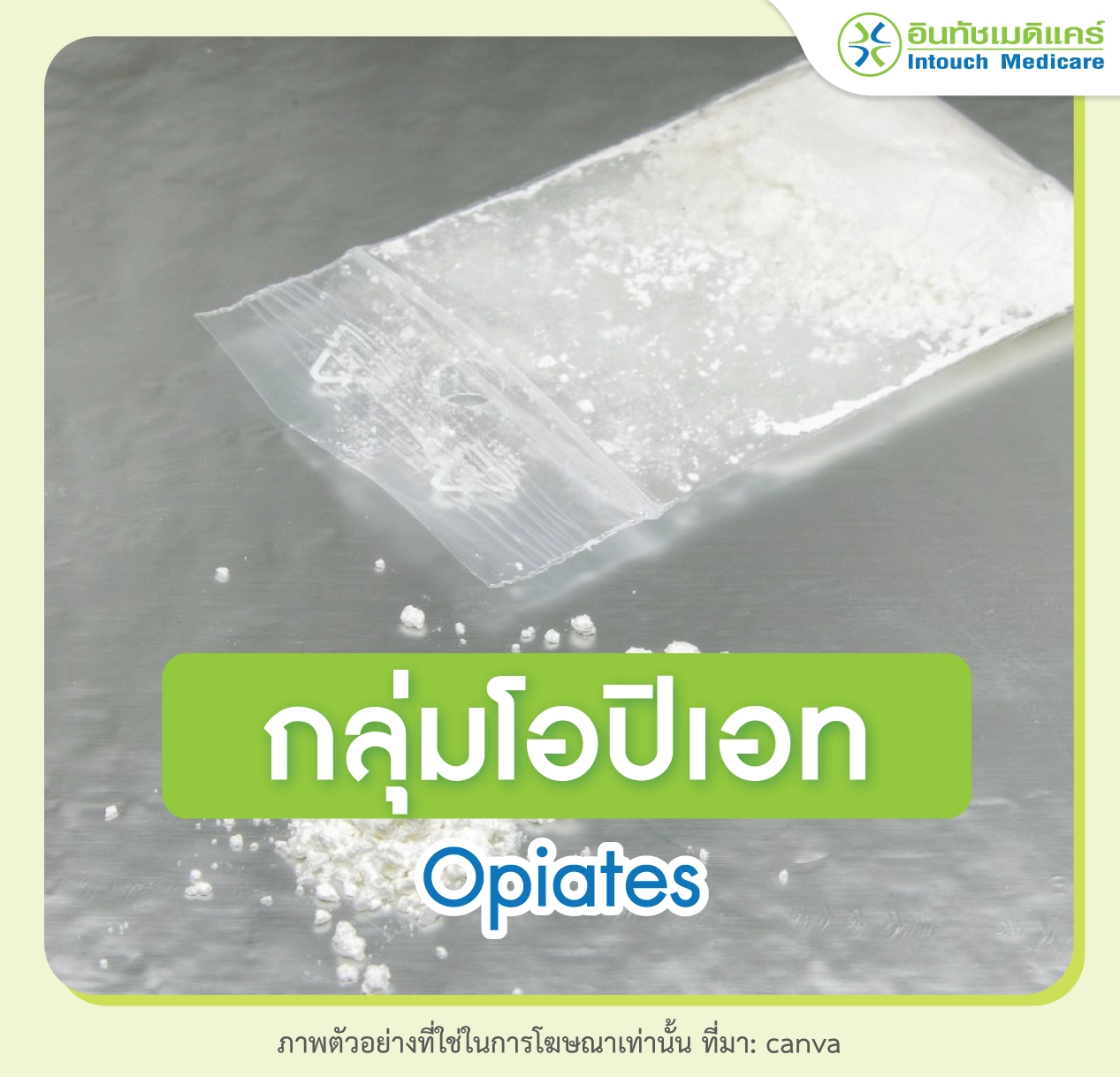 กลุ่มโอปิเอท