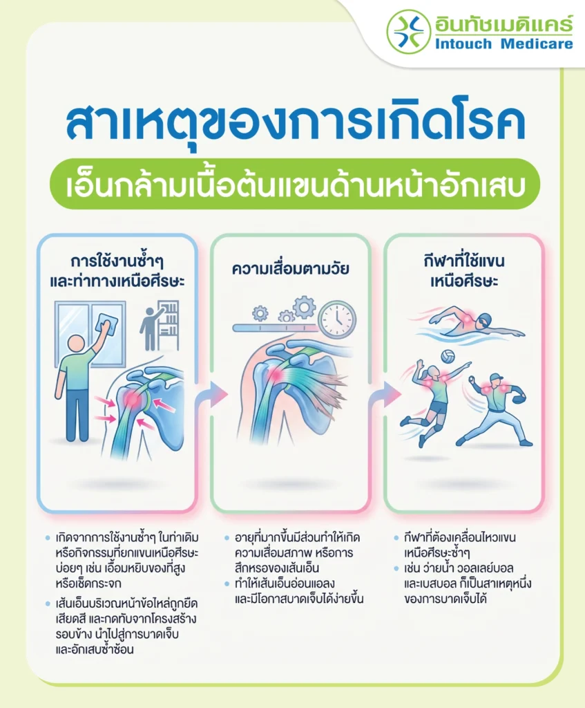 สาเหตุเอ็นกล้ามเนื้อต้นแขนด้านหน้าอักเสบ