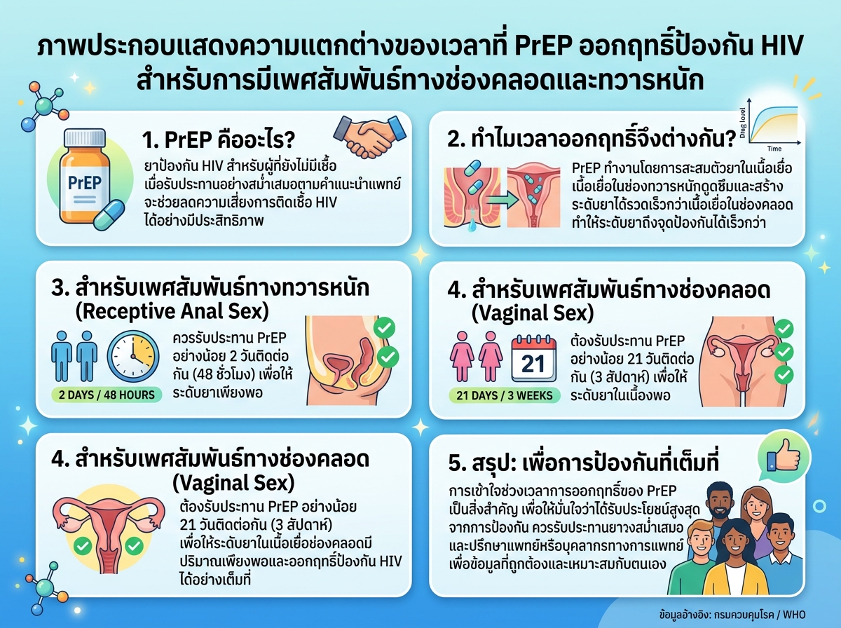 ภาพประกอบแสดงความแตกต่างของเวลาที่ PrEP ออกฤทธิ์ป้องกัน HIV สำหรับการมีเพศสัมพันธ์ทางช่องคลอดและทวารหนัก