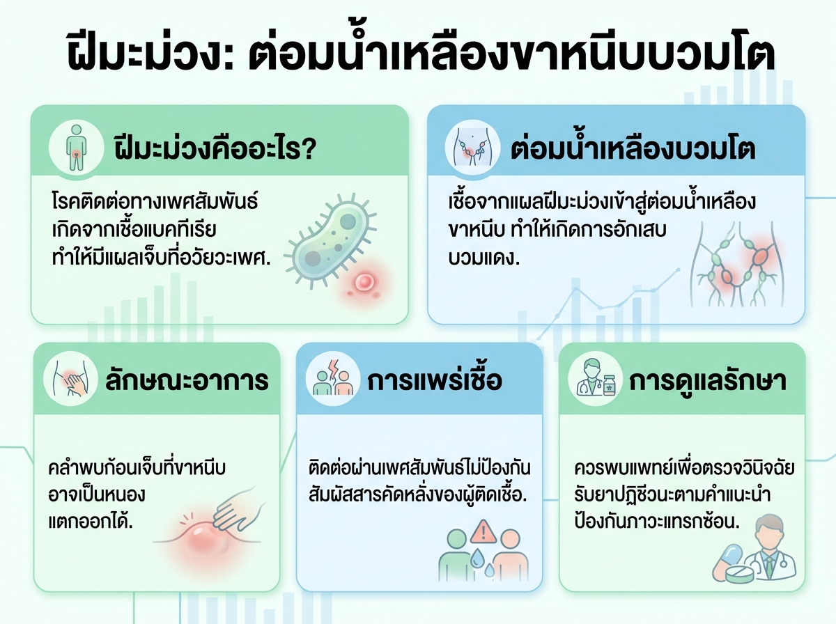 ภาพแสดงอาการฝีมะม่วงที่ขาหนีบบวมโต