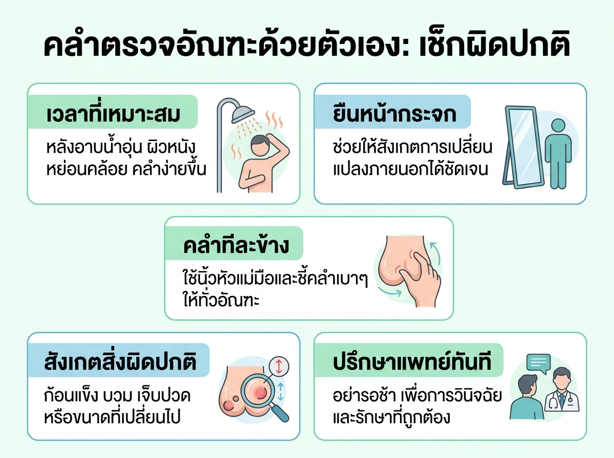 ขั้นตอนการคลำตรวจอัณฑะด้วยตัวเอง เพื่อเช็กความผิดปกติ