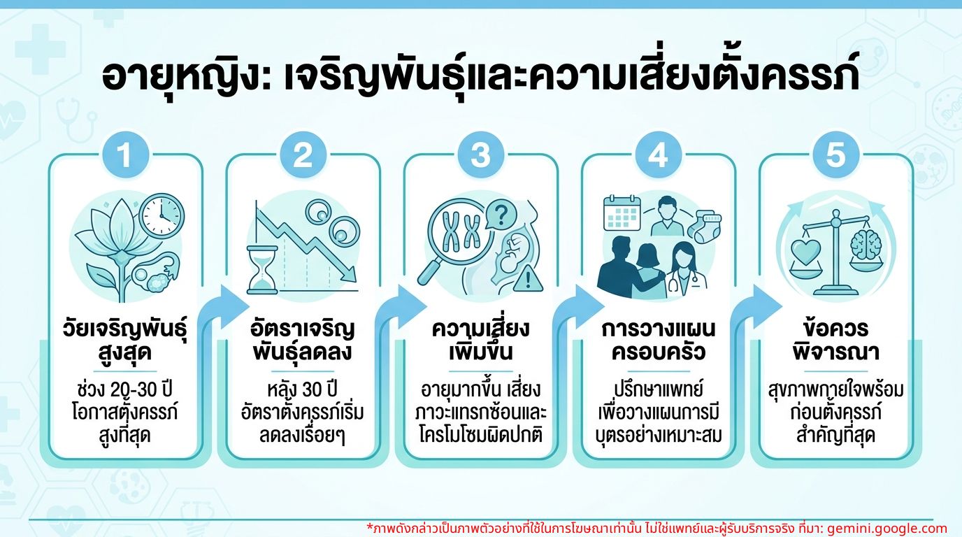 อินโฟกราฟิกแสดงความสัมพันธ์ระหว่างอายุของผู้หญิงกับอัตราการเจริญพันธุ์และความเสี่ยงในการตั้งครรภ์