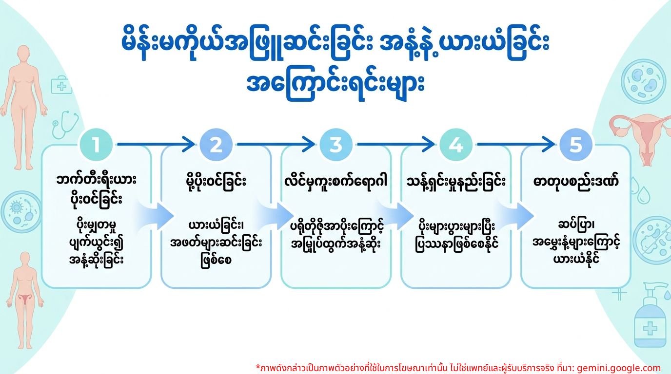 အနံ့ဆိုးထွက်ပြီး ယားယံသော အဖြူဆင်းခြင်း၏ အကြောင်းရင်းများကို ပြသသည့် Infographic ပုံ