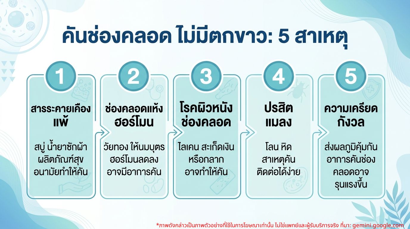 อินโฟกราฟิกสาเหตุอาการคันช่องคลอดโดยไม่มีตกขาว