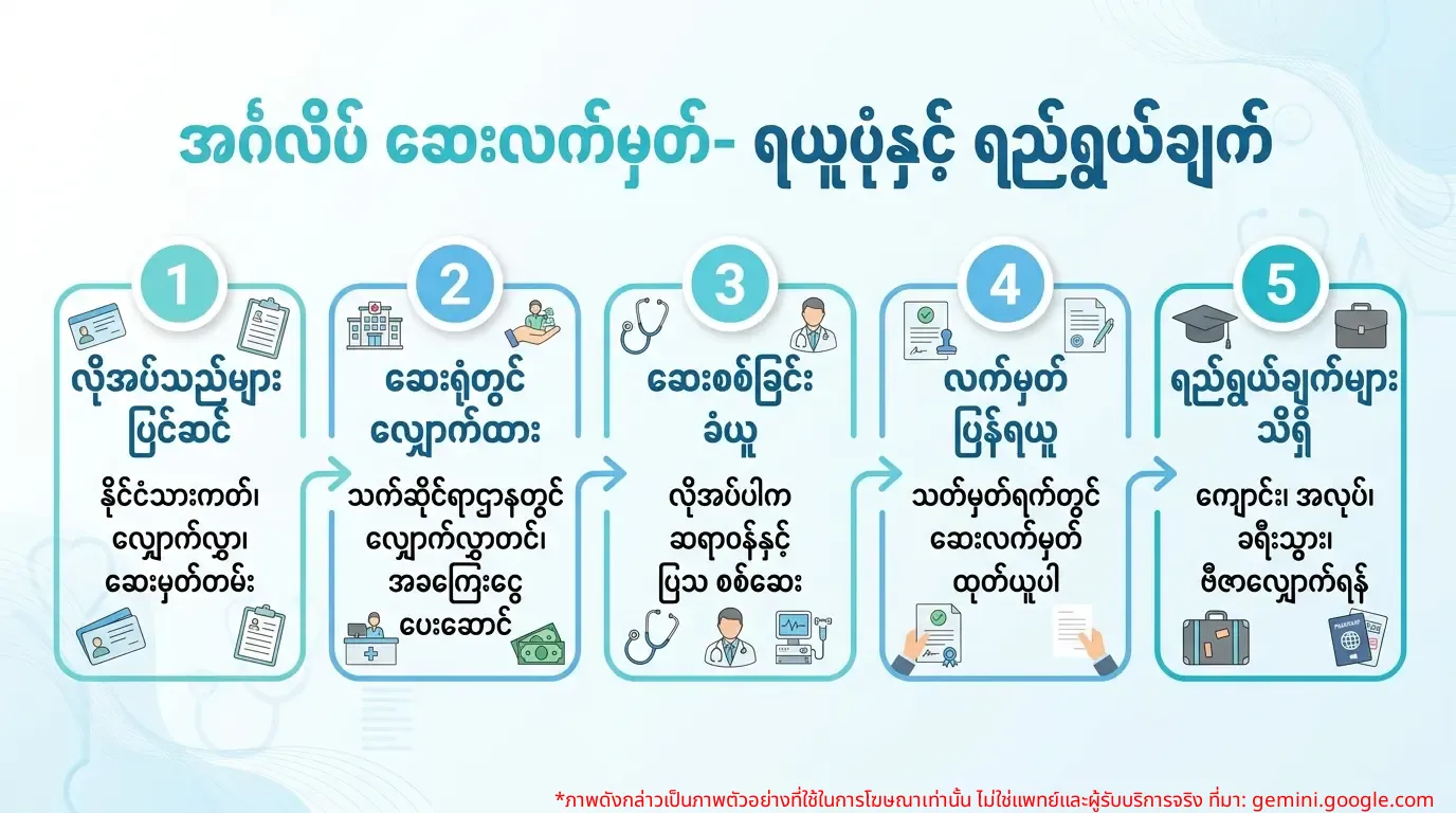 အင်္ဂလိပ်ဆေးလက်မှတ် တောင်းခံခြင်း လုပ်ငန်းစဉ်နှင့် ရည်ရွယ်ချက်များဆိုင်ရာ အချက်အလက်ပုံ