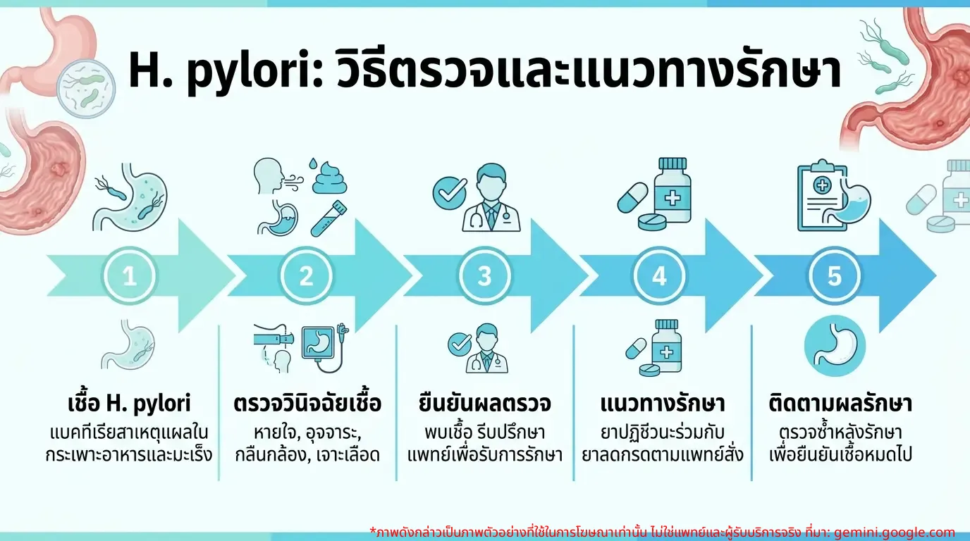 อินโฟกราฟิกแสดงวิธีการตรวจและแนวทางการรักษาเชื้อ H. pylori